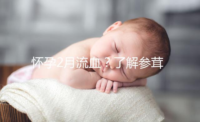 懷孕2月流血？了解參茸保胎丸作用可輕松保胎