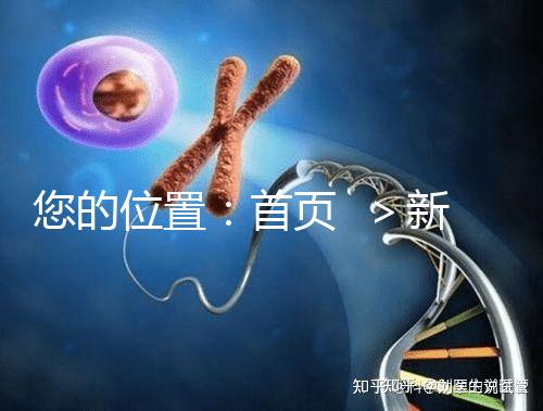 您的位置：首頁  ＞新聞中心＞醫(yī)院動態(tài)