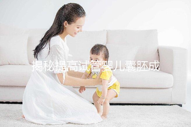 揭秘提高試管嬰兒囊胚成功率的五大核心要素