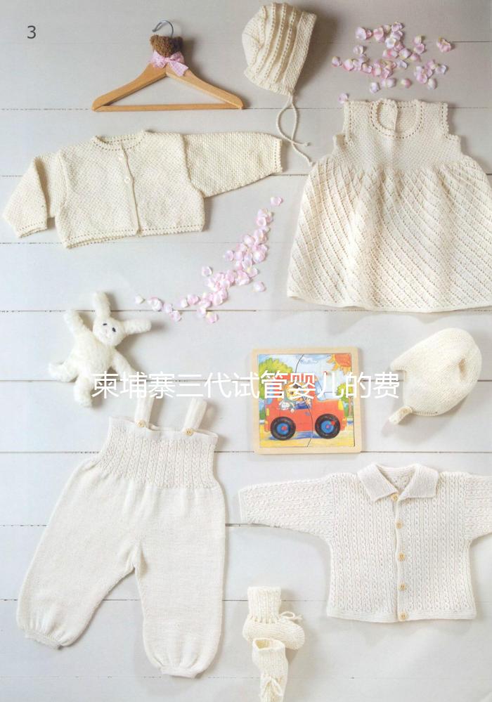 柬埔寨三代試管嬰兒的費(fèi)用、成功率、流程一文說明！