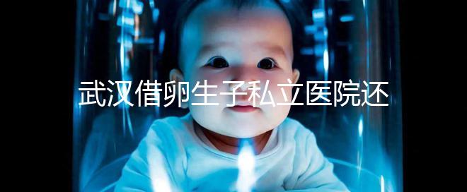 武漢借卵生子私立醫院還得看這幾家，協和、同濟醫院上榜