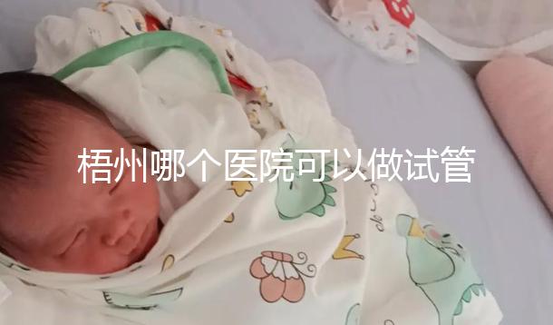 梧州哪個醫院可以做試管嬰兒？“過來人”分享試管費用明細