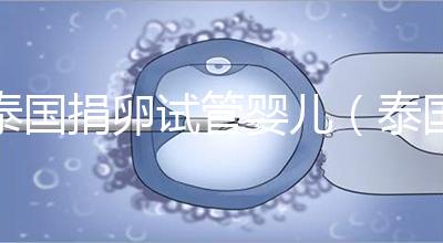 泰國捐卵試管嬰兒（泰國捐卵試管嬰兒成功案例分享）