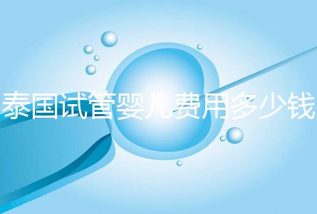 泰國試管嬰兒費用多少錢(泰國試管嬰兒費用多少錢呢)