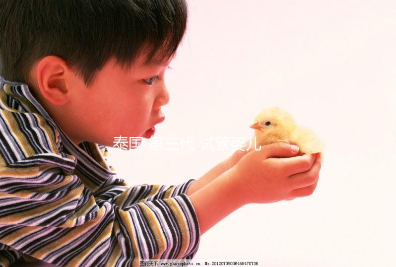 泰國 第三代 試管嬰兒（泰國 第三代 試管嬰兒費(fèi)用）