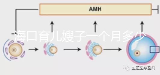 ?？谟齼荷┳右粋€月多少錢，哪個好答案總結，新手父母必須看