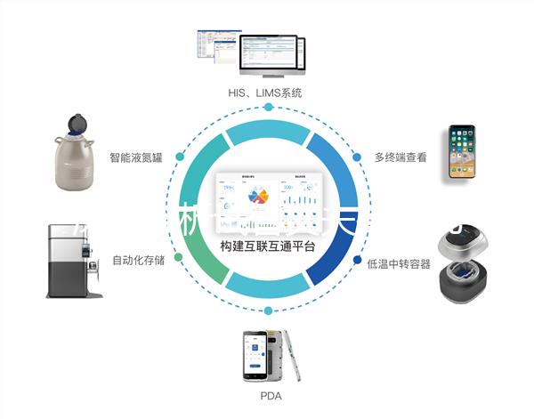 深入分析試管丈夫排精幾天后取卵正常，找到正確的時(shí)間更容易懷孕