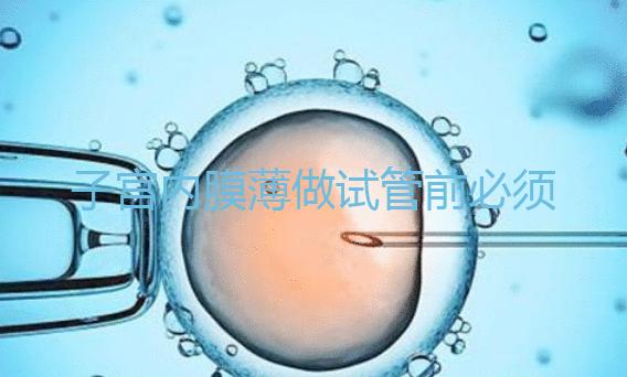 子宮內膜薄做試管前必須先調理好，調理方法在這里自??！