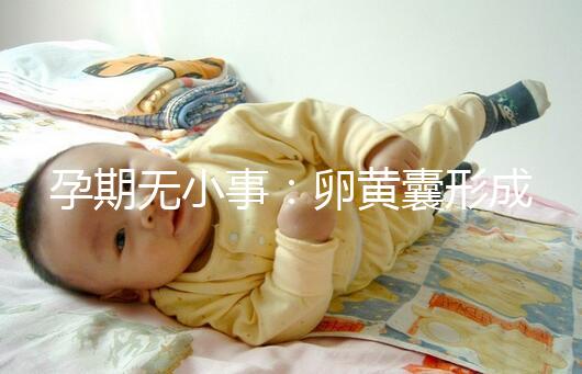 孕期無小事:卵黃囊形成到胎芽出現(xiàn)時間早了解早放心