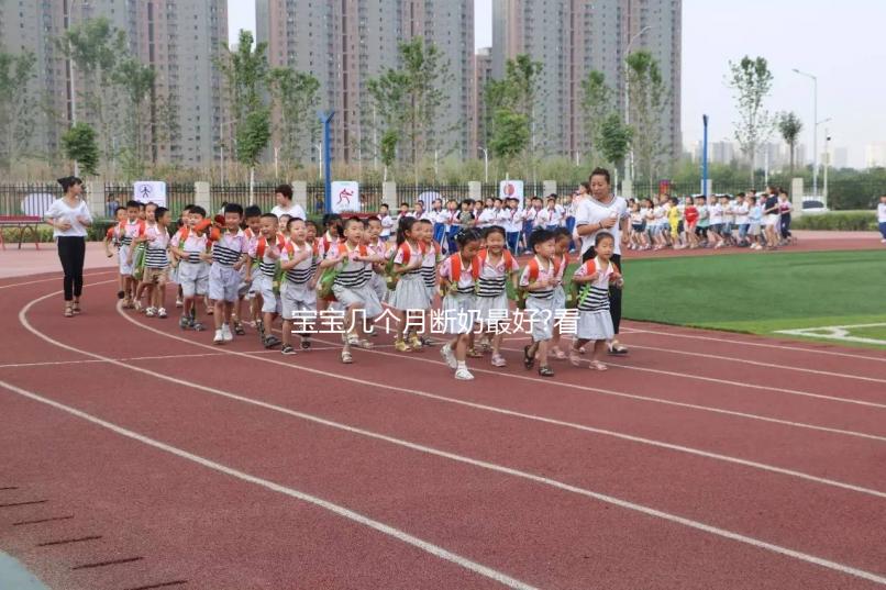 寶寶幾個(gè)月斷奶最好?看看有經(jīng)驗(yàn)的寶媽們是怎樣做的