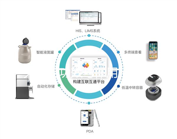 大蒜的功效與作用（吃大蒜傷肝還是護肝）
