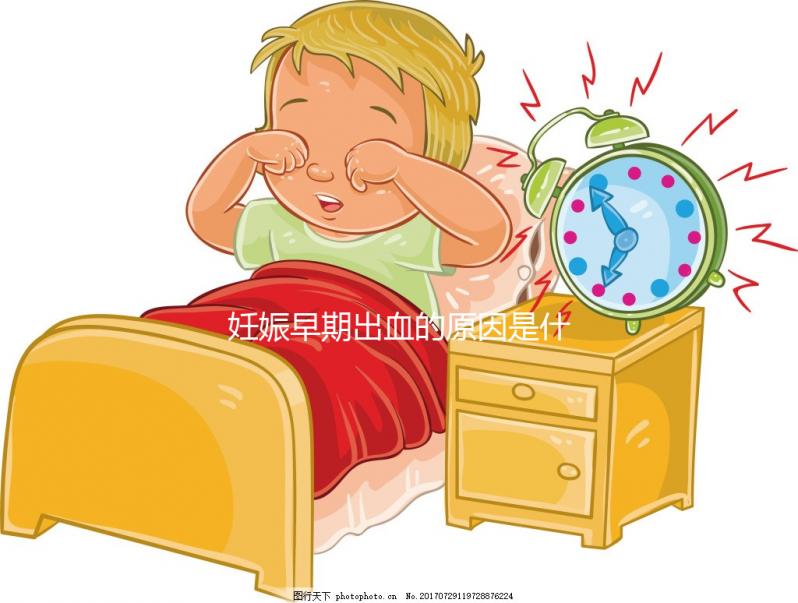 妊娠早期出血的原因是什么？