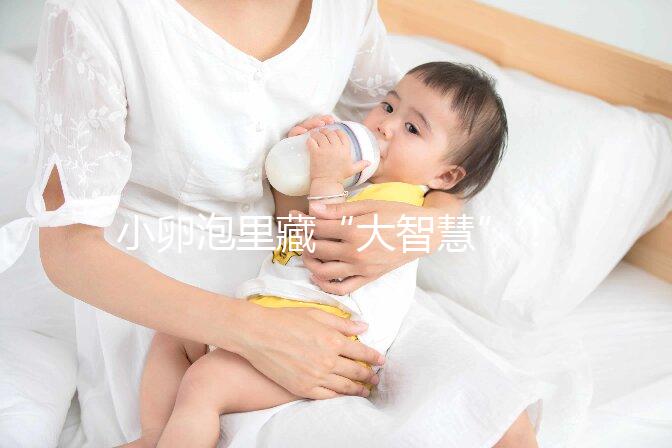 小卵泡里藏“大智慧”！這些冷知識也該知道了