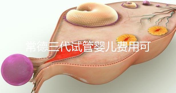 常德三代試管嬰兒費用可以報銷嗎？內(nèi)附試管費用明細(xì)