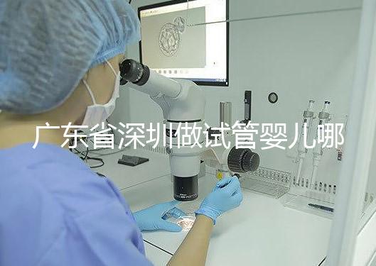 廣東省深圳做試管嬰兒哪里好？盤(pán)點(diǎn)成功率最高的醫(yī)院排名