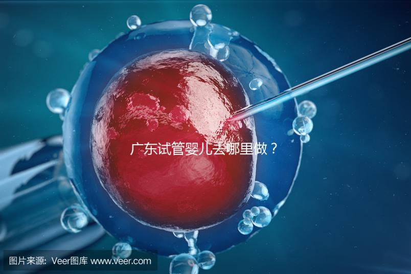廣東試管嬰兒去哪里做？試管成功率高的醫(yī)院都有哪些？