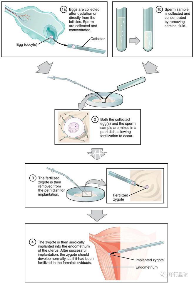 廣東10家三代試管醫(yī)院的熱度排名！