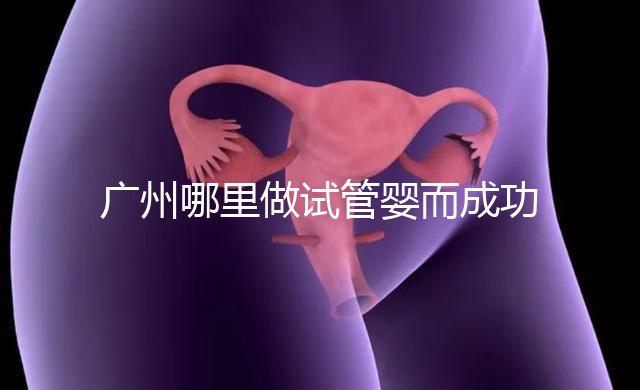 廣州哪里做試管嬰而成功率高？如何提高成功率？