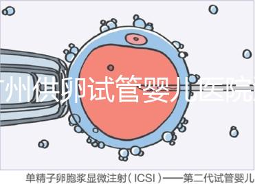 廣州供卵試管嬰兒醫院匯總，真實案例告訴你廣東哪家最好