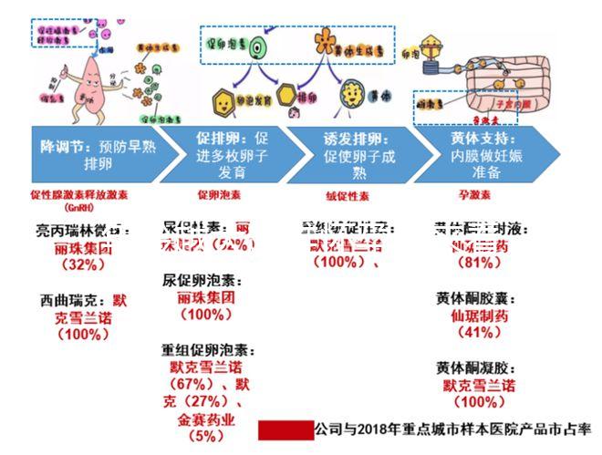 年齡越大越難懷孕！來看看44歲試管嬰兒的成功率有多少？