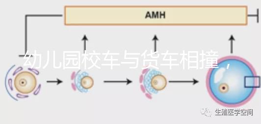 幼兒園校車與貨車相撞，乘坐校車要告訴寶寶注意事項！