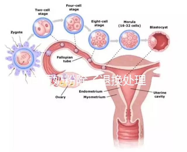 問題奶粉除了退換處理，還可要求十倍標準的賠償金