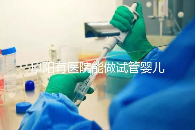 阜陽有醫(yī)院能做試管嬰兒嗎，做一次大概要花多少錢？