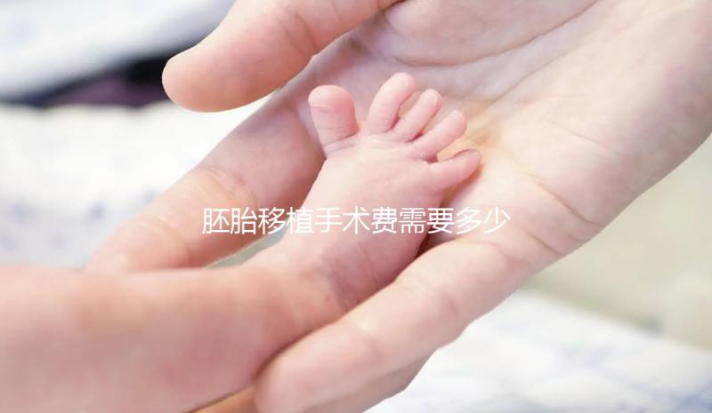 胚胎移植手術(shù)費需要多少錢