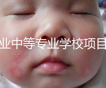 職業(yè)中等專(zhuān)業(yè)學(xué)校項(xiàng)目（中等職業(yè)學(xué)校專(zhuān)業(yè)建設(shè)規(guī)劃實(shí)施方案）