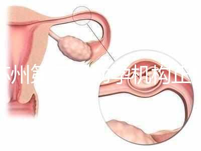 蘇州第三代助孕機構正規可靠嗎？實地考察才為真