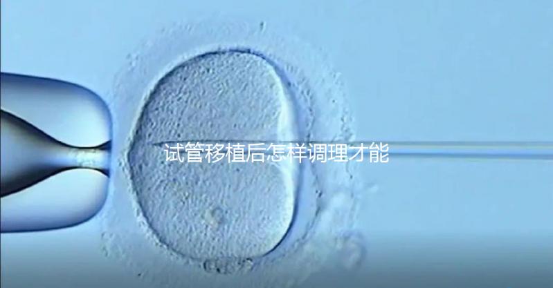 試管移植后怎樣調理才能增加胚胎著床的幾率？