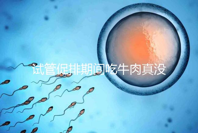 試管促排期間吃牛肉真沒影響，關鍵在于是火鍋還是牛肉干