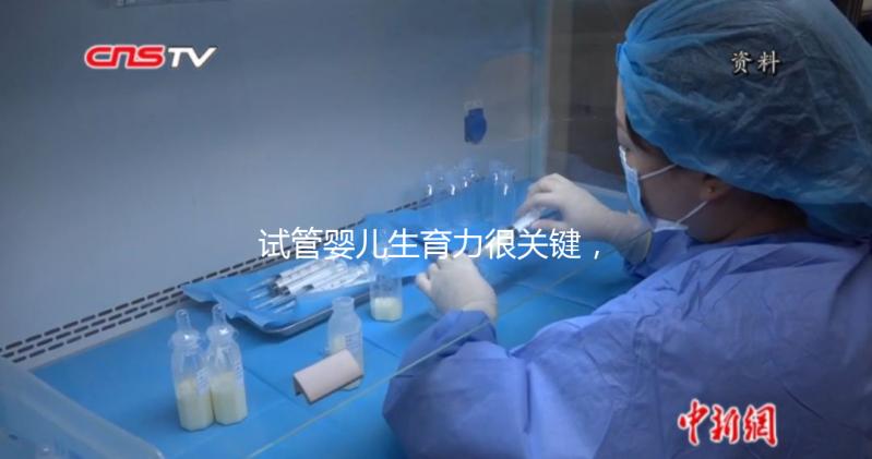 試管嬰兒生育力很關鍵，4個方面評估好不好？