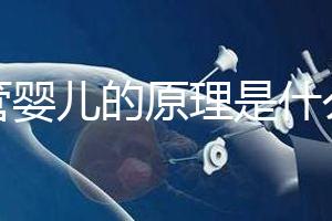 試管嬰兒的原理是什么？一代二代三代有什么區(qū)別？