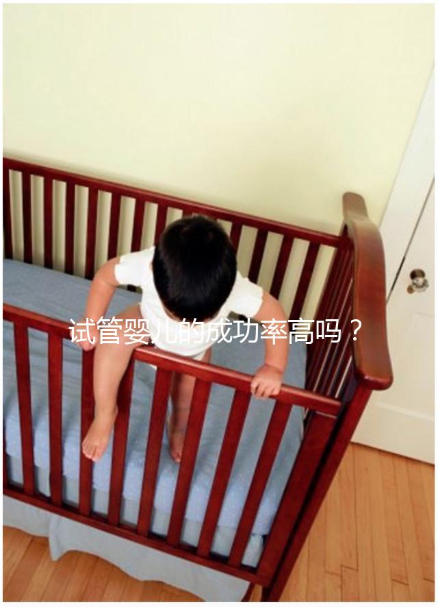 試管嬰兒的成功率高嗎？卵泡質(zhì)量或?yàn)殛P(guān)鍵因素