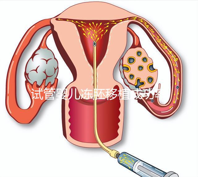試管嬰兒凍胚移植成功率更高？凍胚和鮮胚有何不同？