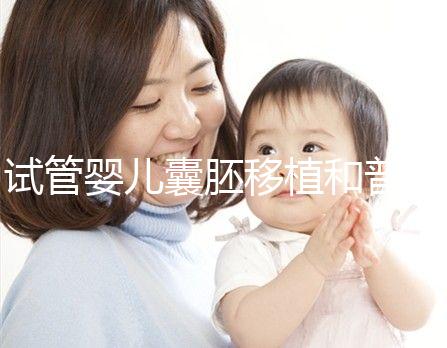 試管嬰兒囊胚移植和普通胚胎移植，有何區(qū)別？