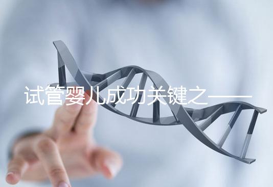 試管嬰兒成功關鍵之——子宮內(nèi)膜環(huán)境15問15答