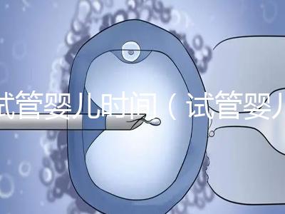 試管嬰兒時間（試管嬰兒時間需要多久）