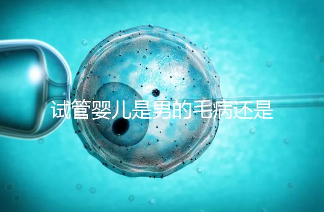 試管嬰兒是男的毛病還是女的毛?。ㄔ嚬軏雰菏悄械拿∵€是女的毛病呢）