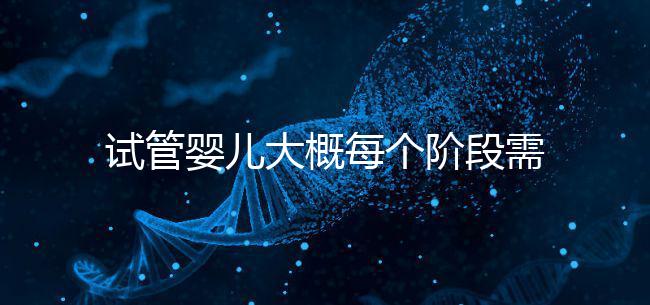 試管嬰兒大概每個(gè)階段需要花到多少錢(qián)呢？