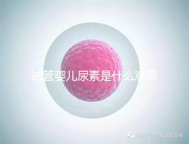試管嬰兒尿素是什么意思（試管嬰兒尿素是什么意思啊）