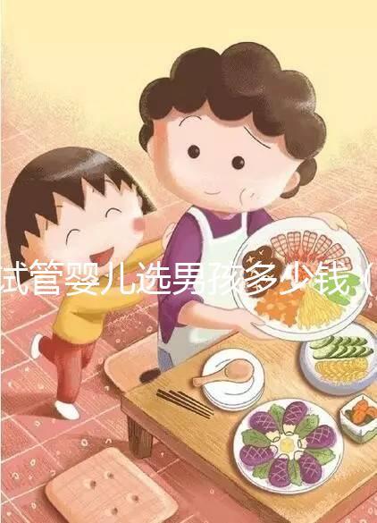 試管嬰兒選男孩多少錢（試管嬰兒選男孩多少錢一次）