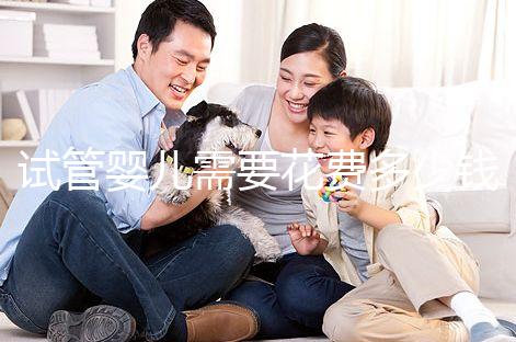 試管嬰兒需要花費多少錢？多少時間？