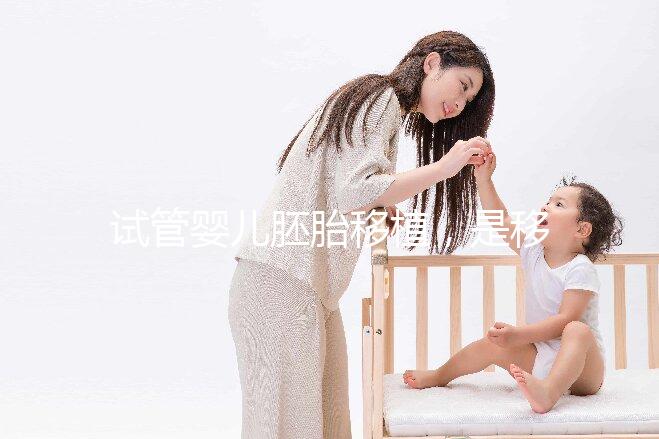 試管嬰兒胚胎移植，是移植第3天胚胎好還是囊胚好？