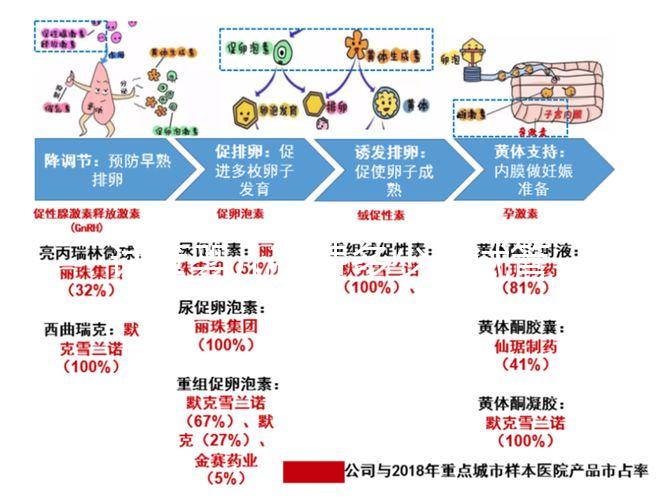 試管嬰兒花費多少（試管嬰兒花費多少錢？）