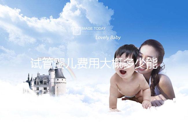 試管嬰兒費用大概多少能出來報銷（試管嬰兒費用大概多少能出來報銷醫(yī)保）