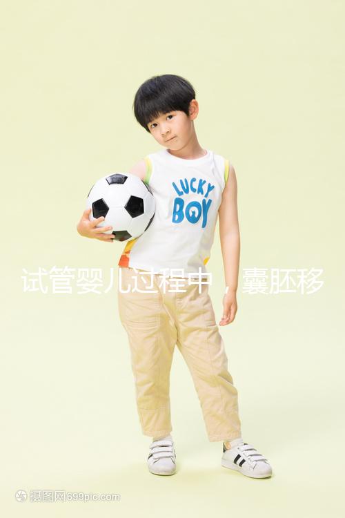 試管嬰兒過(guò)程中，囊胚移植和鮮胚移植到底哪個(gè)更好？