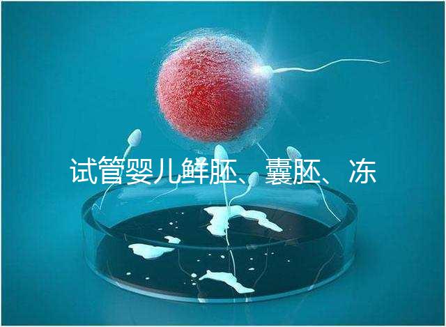 試管嬰兒鮮胚、囊胚、凍胚移植那個成功率最高？