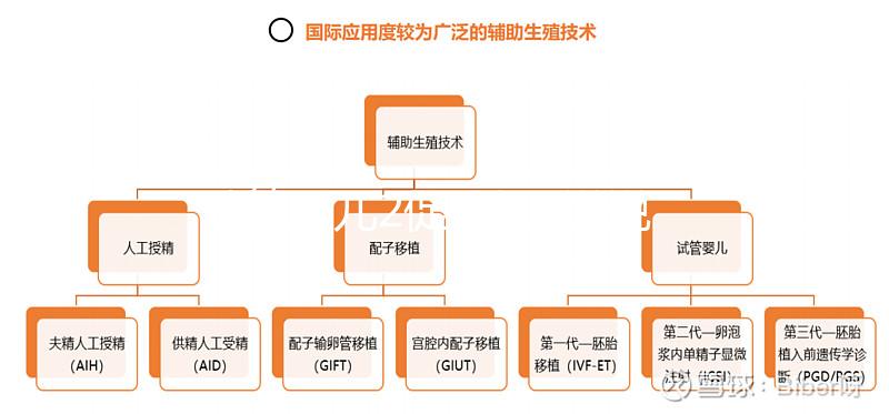 試管嬰兒2促3移，說說5點我的成功懷孕經驗